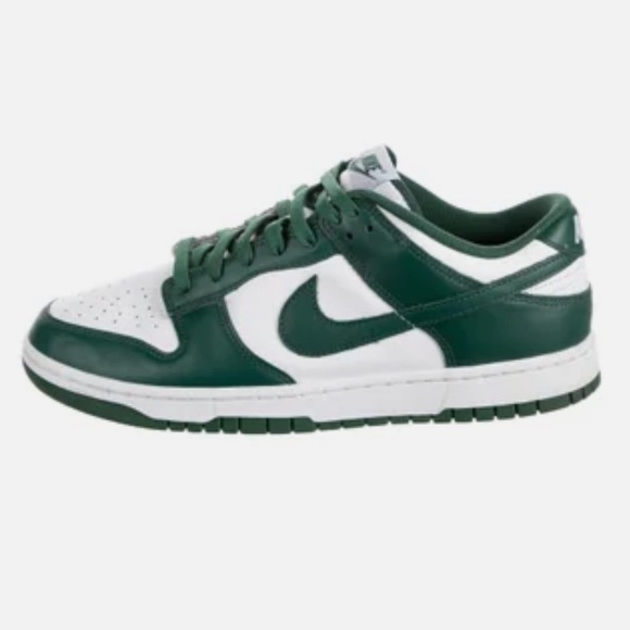 Nike dunks michigan state low top